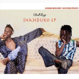 Album cover of Shanduko