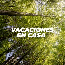 Album cover of Vacaciones en casa