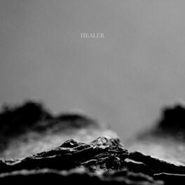 Album cover of Healer