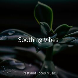 Album cover of Soothing Vibes