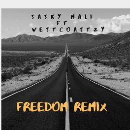 Album cover of Freedom Remix