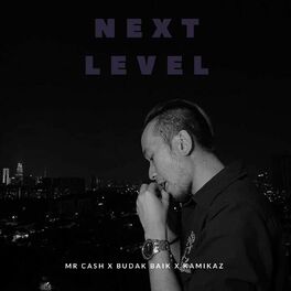 Album cover of Next Level