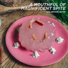 Album cover of A Mouthful Of Magnificent Spite