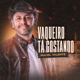 Album cover of Vaqueiro Tá Gostando