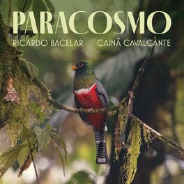Album picture of Paracosmo