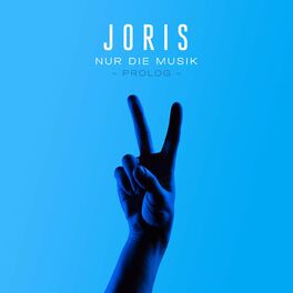 Album cover of Nur die Musik