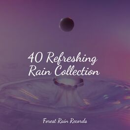 Album cover of 40 Refreshing Rain Collection