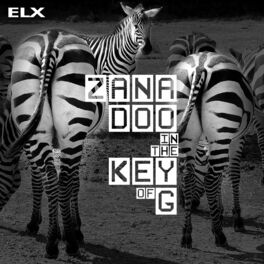 Album cover of Zanadoo in the Key of G