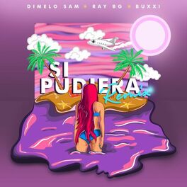 Album cover of Si Pudiera (Remix)