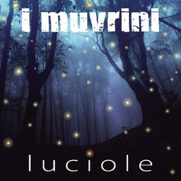 Album cover of Luciole