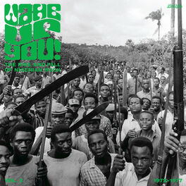 Album cover of Wake Up You! The Rise and Fall of Nigerian Rock, Vol. 2 (1972-1977)