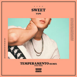 Album cover of Temperamento (Remix)