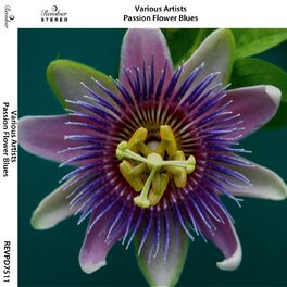 Album cover of Passion Flower Blues