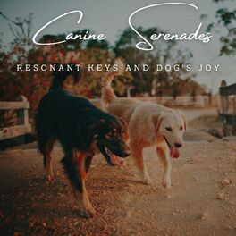 Album cover of Harmonious Canine Serenades: Meditative Piano for Nature's Companions
