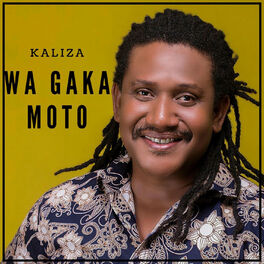 Album cover of Wa Gaka Moto