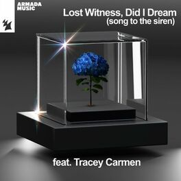 Album cover of Did I Dream (Song To The Siren)