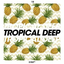 Album cover of Tropical Deep, Vol. 13