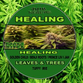 Album cover of Healing / Leaves And Trees