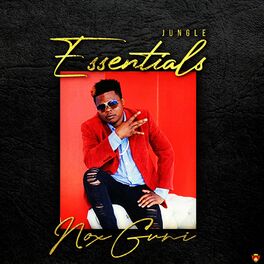 Album cover of Nox Essentials