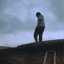 Album cover of Híbrido