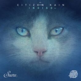 Album cover of Indigo EP