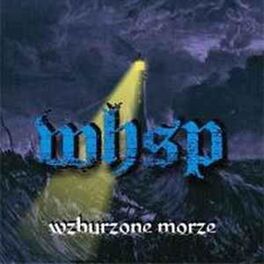 Album cover of WZBURZONE MORZE