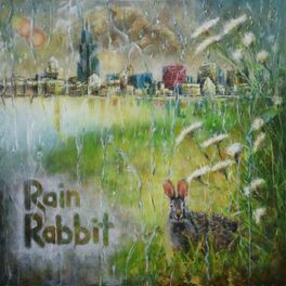 Album cover of Rain Rabbit