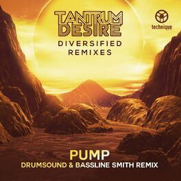 Album cover of Pump (Drumsound & Bassline Smith Remix)