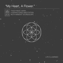 Album cover of Your Heart A Flower (feat. Thich Nhat Hanh) [Meditation]