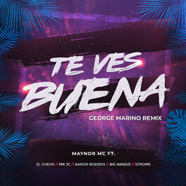 Album picture of Te Ves Buena (Remix)