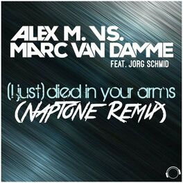 Album cover of (I Just) Died in Your Arms [Naptone Remix]