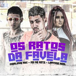 Album cover of Os Ratos Da Favela