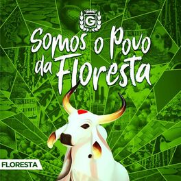 Album cover of Somos o Povo da Floresta: Floresta