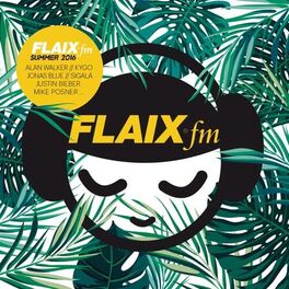 Album cover of Flaix FM Summer 2016