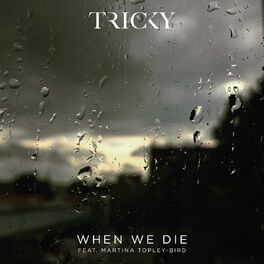 Album cover of When We Die