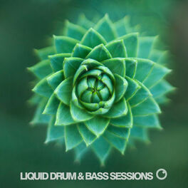 Album cover of Liquid Drum & Bass Sessions 2019 Vol 3