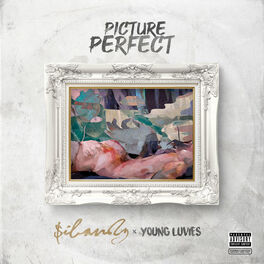 Album cover of Picture Perfect (Remix)