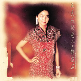 Album cover of 再見我的愛人