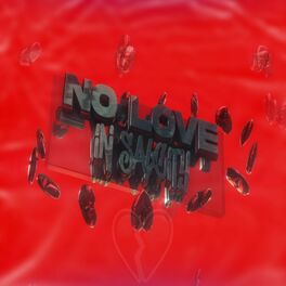 Album cover of No Love in Salcity