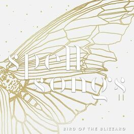 Album cover of Bird of the Blizzard