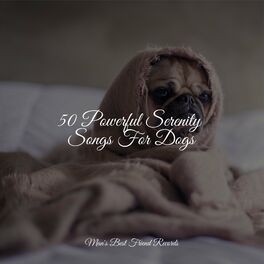 Album cover of 50 Powerful Serenity Songs For Dogs