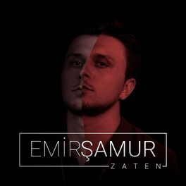 Album cover of Zaten