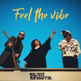 Album cover of Feel the Vibe