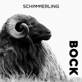 Album cover of Bock