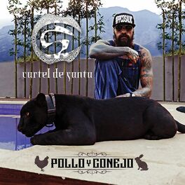 Album cover of Pollo y Conejo