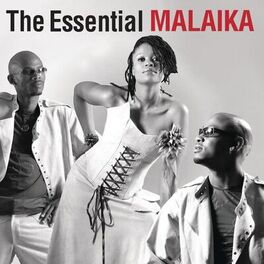 Album cover of The Essential