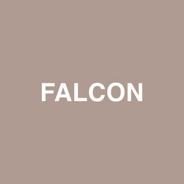 Album cover of Falcon