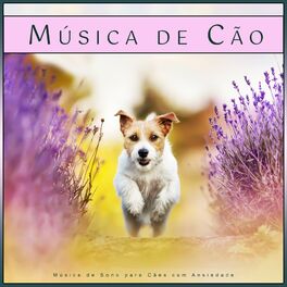 Album cover of Música de Cão: Música de Sono para Cães com Ansiedade