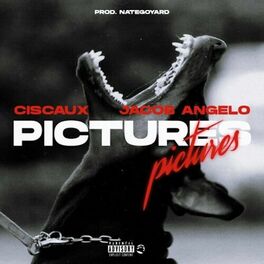 Album cover of Pictures (feat. Jacob Angelo)