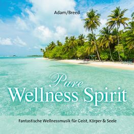 Album picture of Pure Wellness Spirit